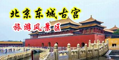 黑人大屌插女人b视频中国北京-东城古宫旅游风景区